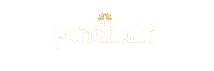 cropped 1.png